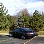 The first day out after the resurrection