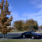 The first day out after the resurrection