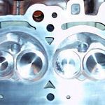 Steve Menegon Stage II head